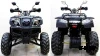 Квадроцикл ATV Avenger Tungus 250