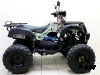 Квадроцикл ATV Avenger Tungus 250