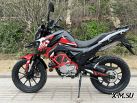 Мотоцикл PROMAX ADVENTURE 300 PRO (CBS300)