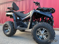 Квадроцикл PROMAX RENEGADE 300 LONG WINCH PRO (2025)